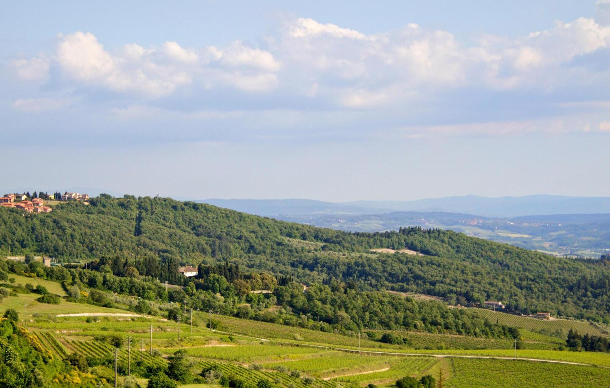 Galletto Nero Panzano in Chianti Zewnętrze zdjęcie
